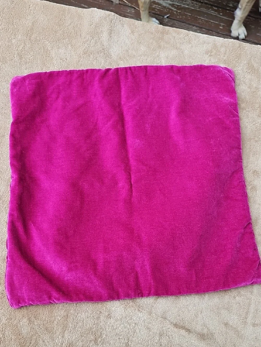 Pottery Barn Teen Pillow Cover 18x18 - Fuchsia